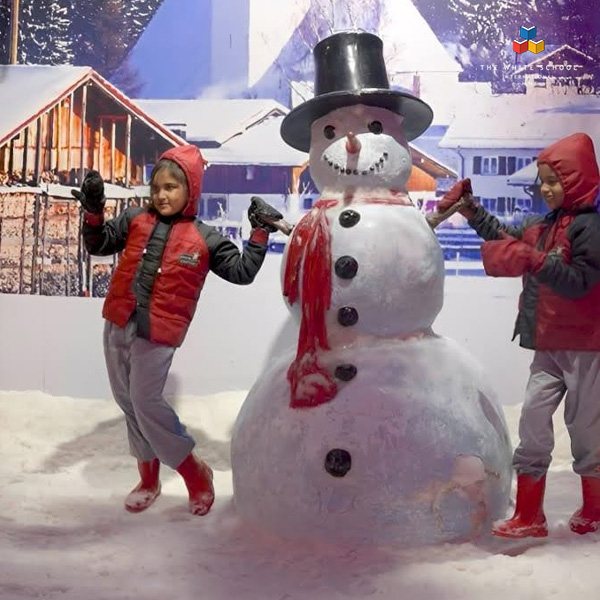 Snow Days at TWSI – A Celebration of Winter Magic
