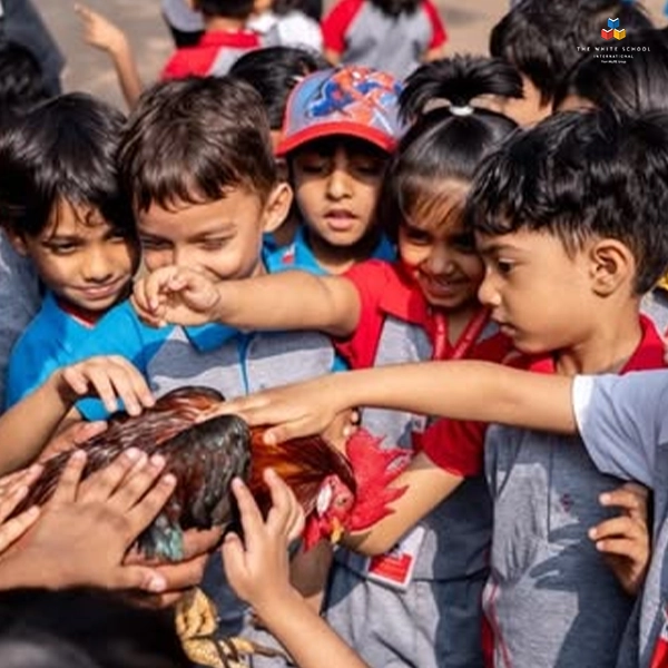 Wild Wednesday – Learning Beyond the Classroom at TWSI